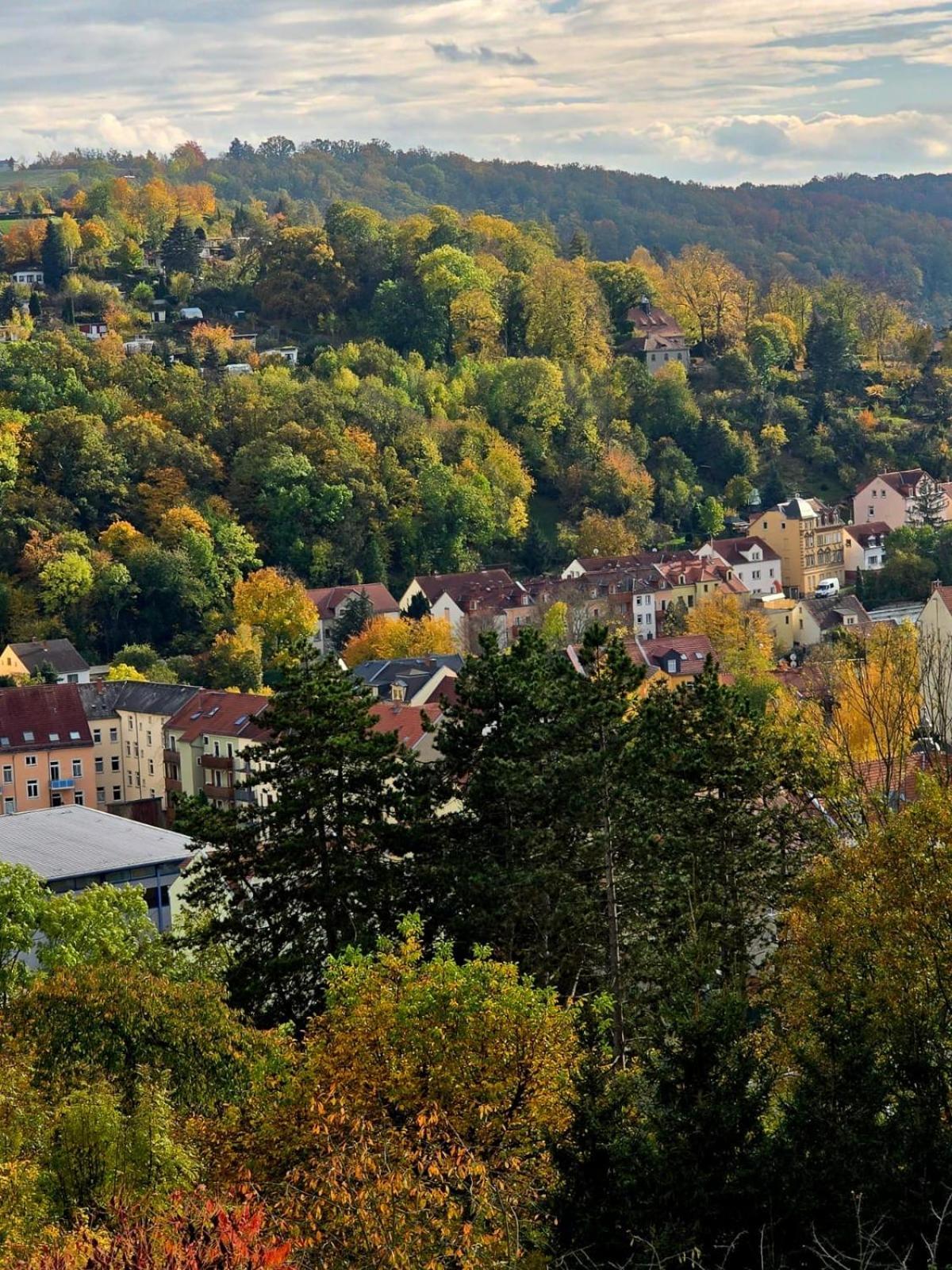 Cozy Pet-Friendly Apartment Meißen 外观 照片